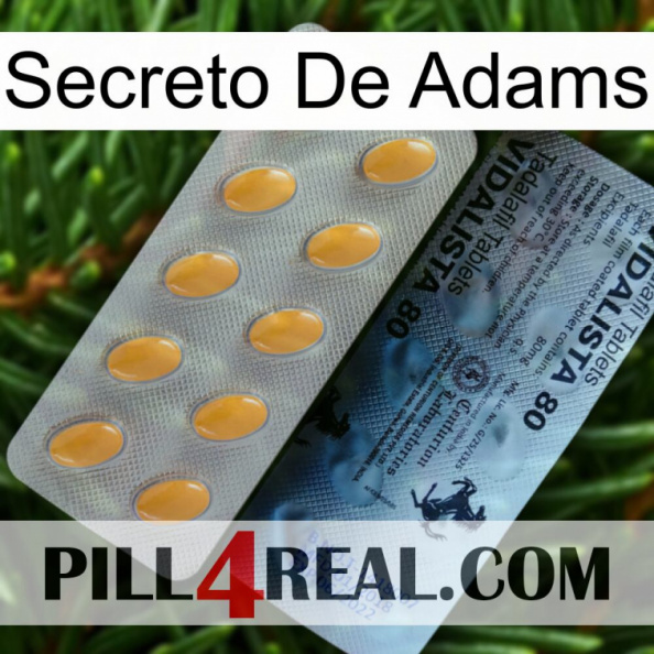 Adams Secret 44.jpg